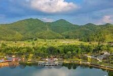 森林舞会水浒传技巧-森林舞会中的水浒传技巧